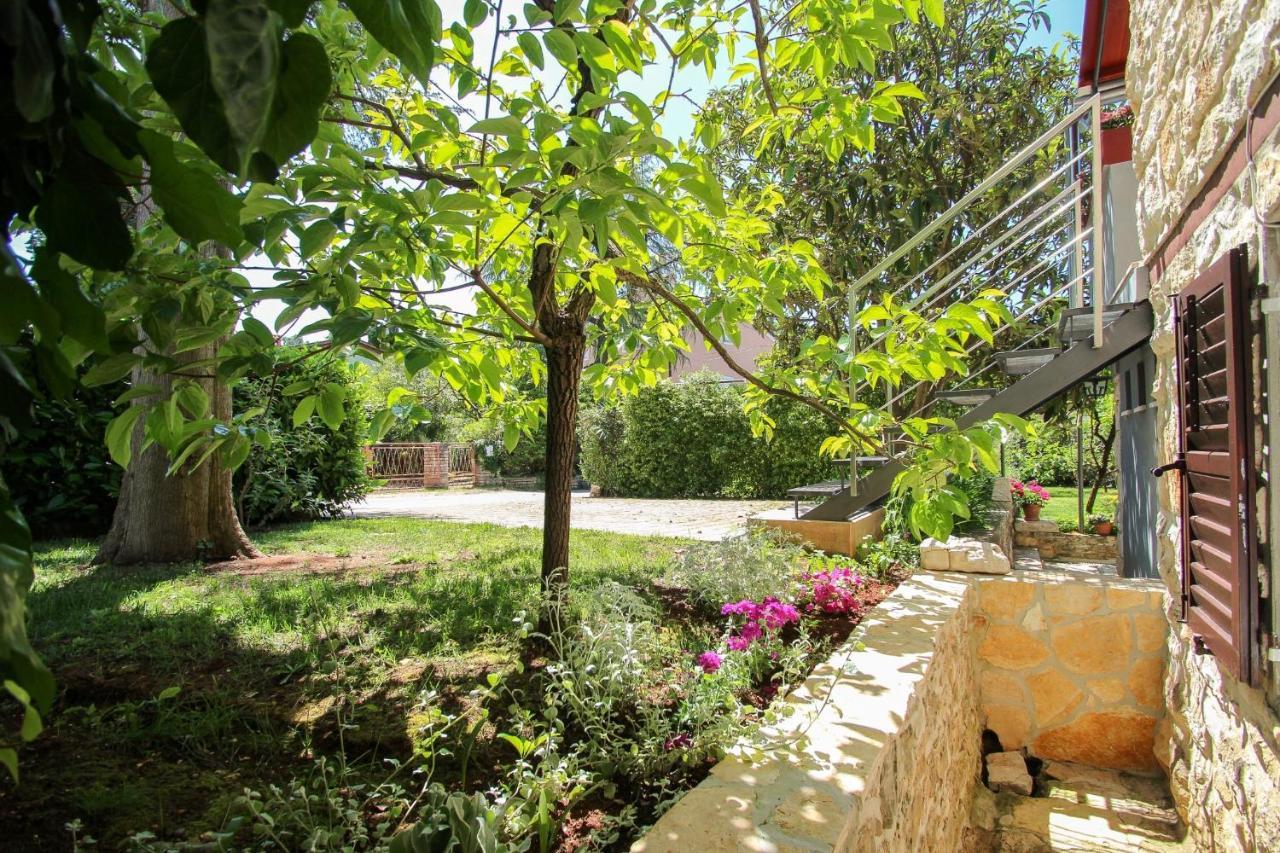 Carla Guest House Novigrad Istria Exterior foto